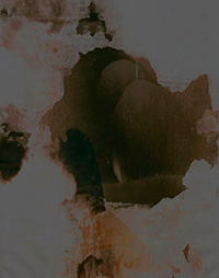 ctn7