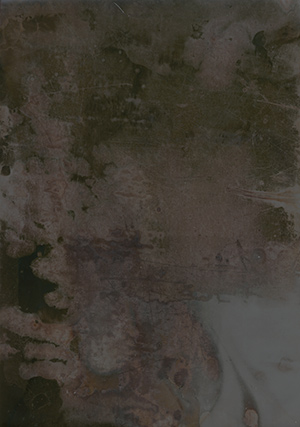 CTN7